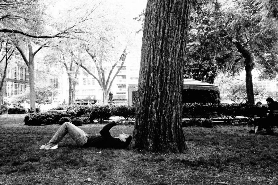 Tree Friend, Olympus Tough Grainy Film Street Photography