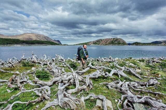 Dientes de Navarino Trekking Laguna de los Dientes Dead Wood