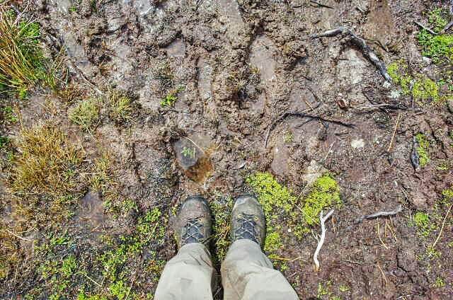 Dientes de Navarino Trekking Mud