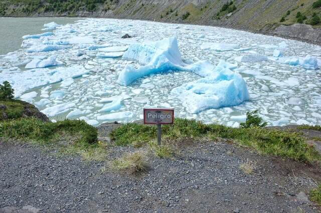 Glaciar Gray