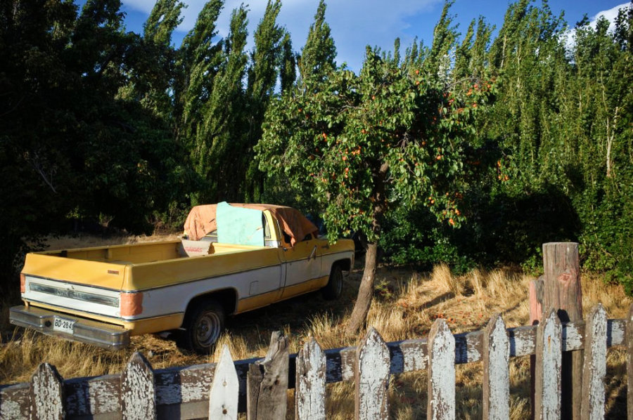 Chile Chico Chevrolet Truck and Peach Tree