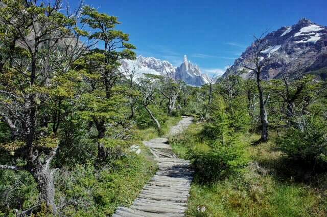 Wooden path to Laguna Torre Firtz Riy