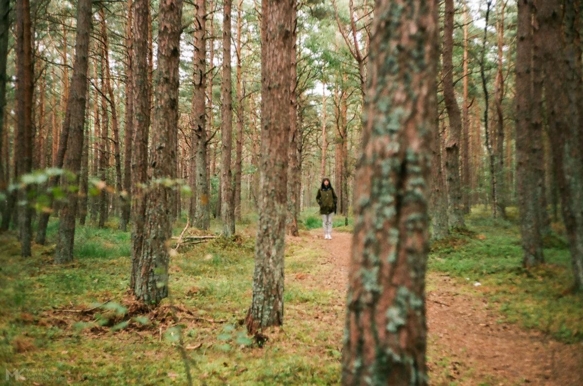 24 Agfa Optima Fuji Vista Plus 200